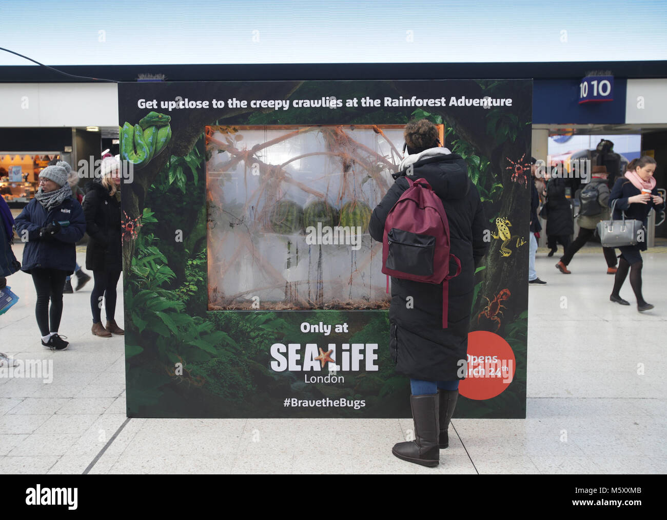 Commuters at Waterloo Railway Station in London, are greeted by a 'living billboard' containing 1,000 hissing cockroaches, as SEA LIFE London unveils the world's first living billboard to launch it's new experience, Rainforest Adventure. Stock Photo