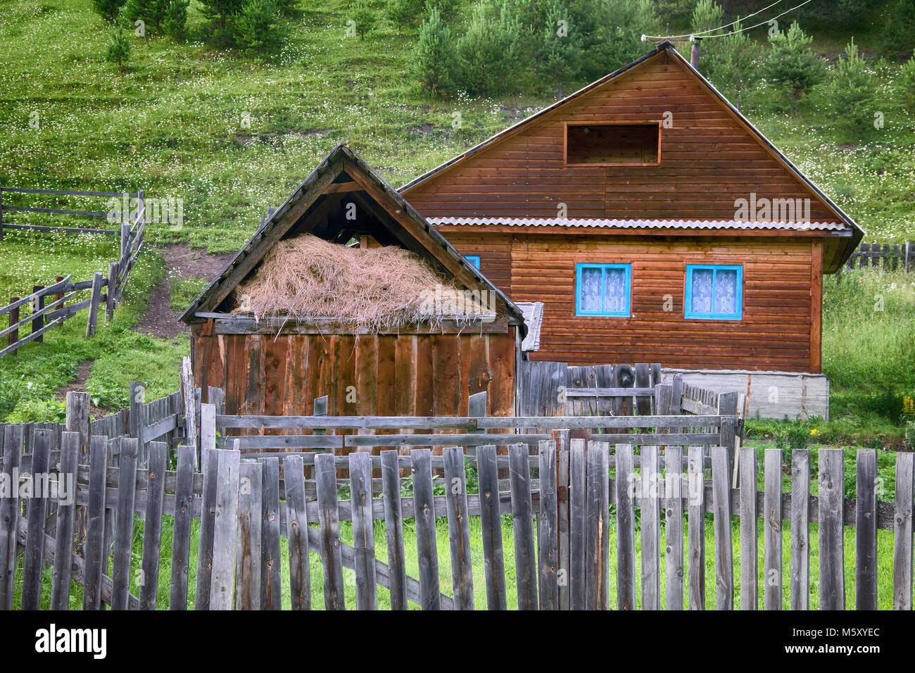 House in Russian village single family. Altai. Scurrying in attic, fence, kitchen-garden, backyard Stock Photo