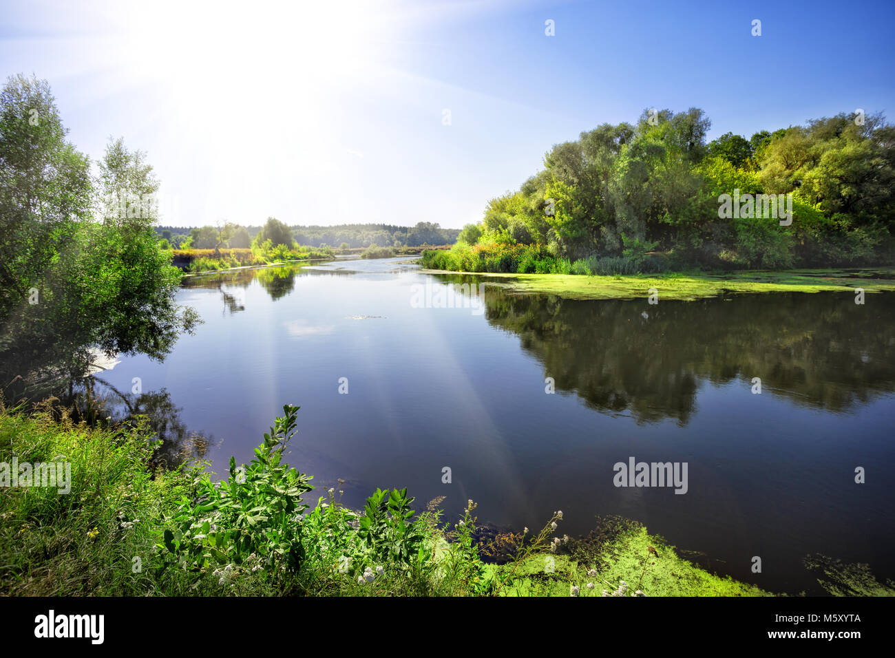Sunny day on the river with green trees on shore Stock Photo - Alamy