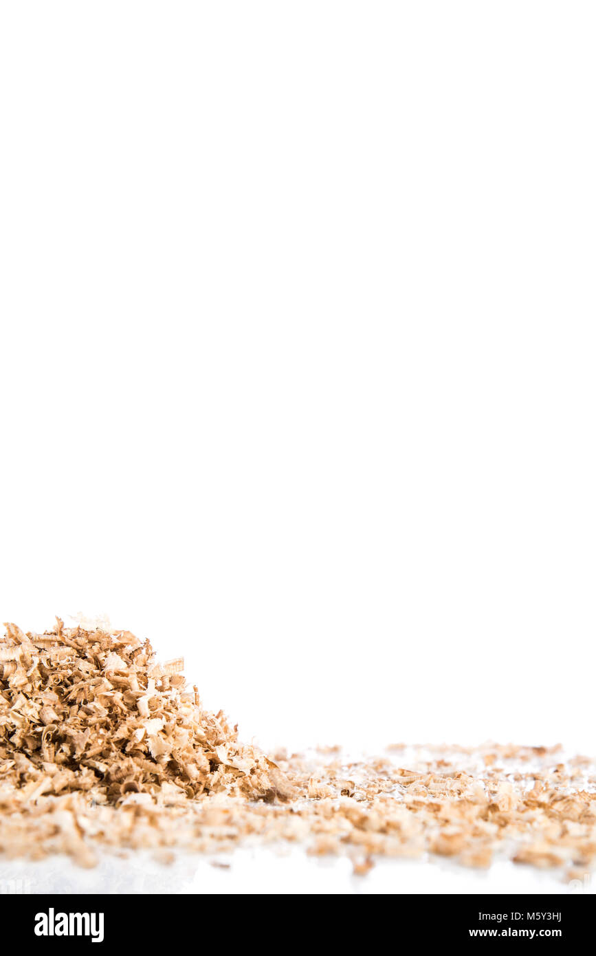 Oak wood shavings on a white background, shadows and reflections, wood