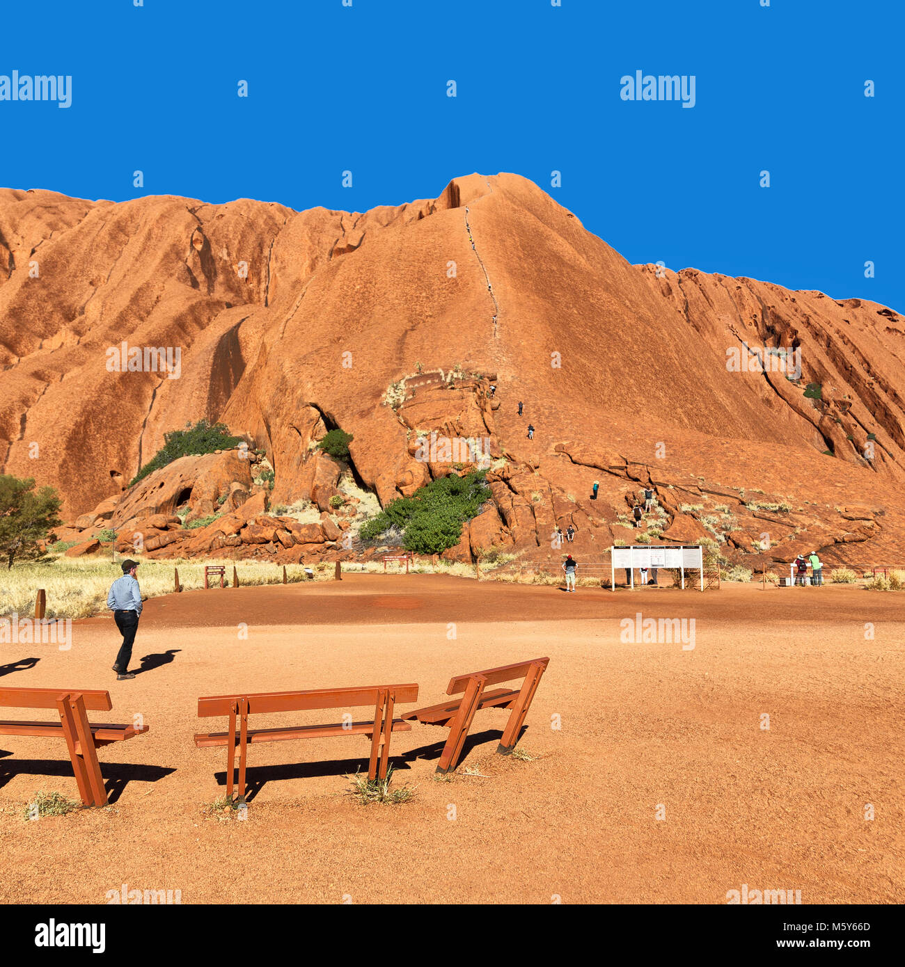 My Image 3