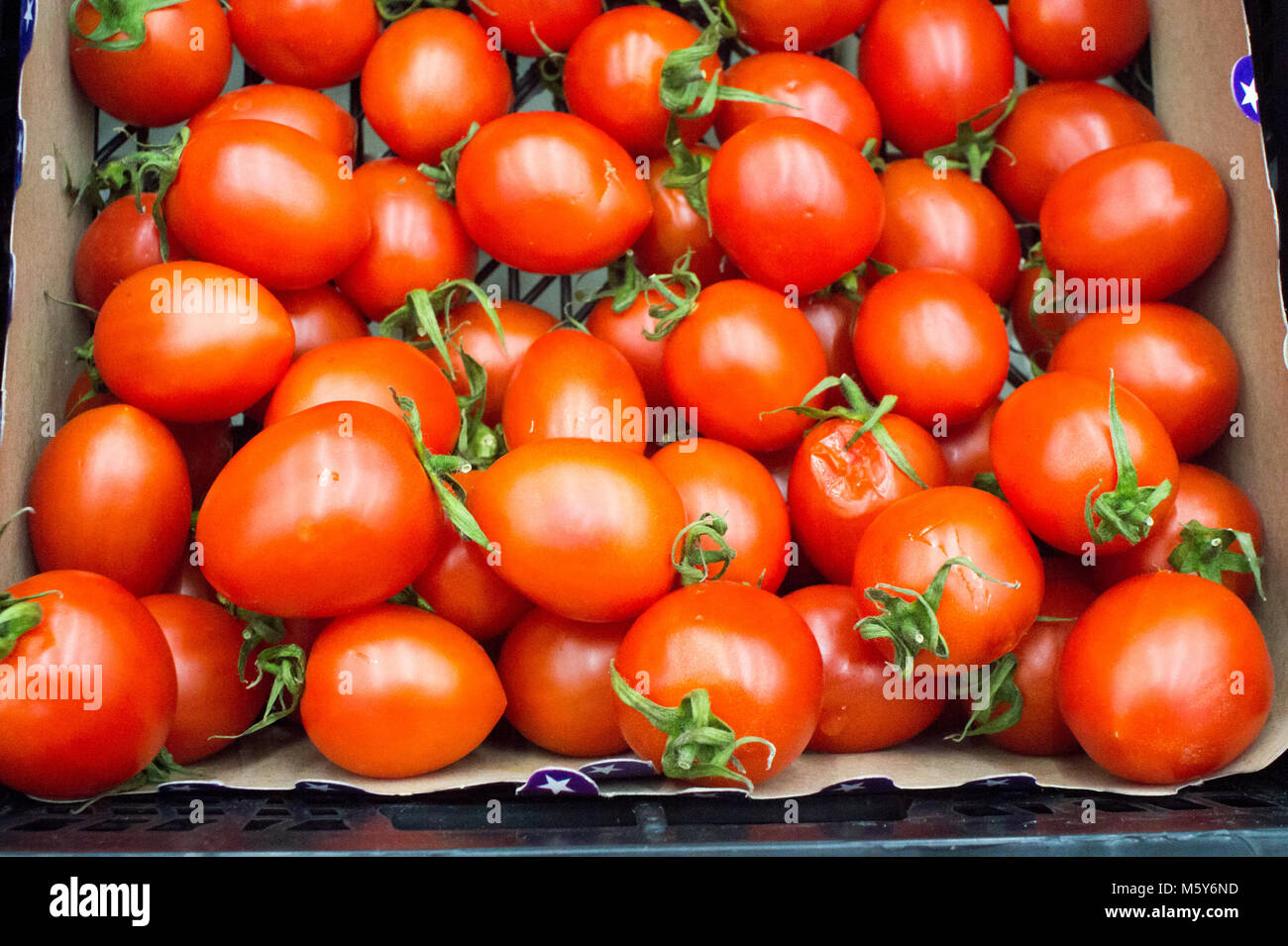 Bunch of small red cherry tomatoes on wooden table Stock Photo - Alamy
