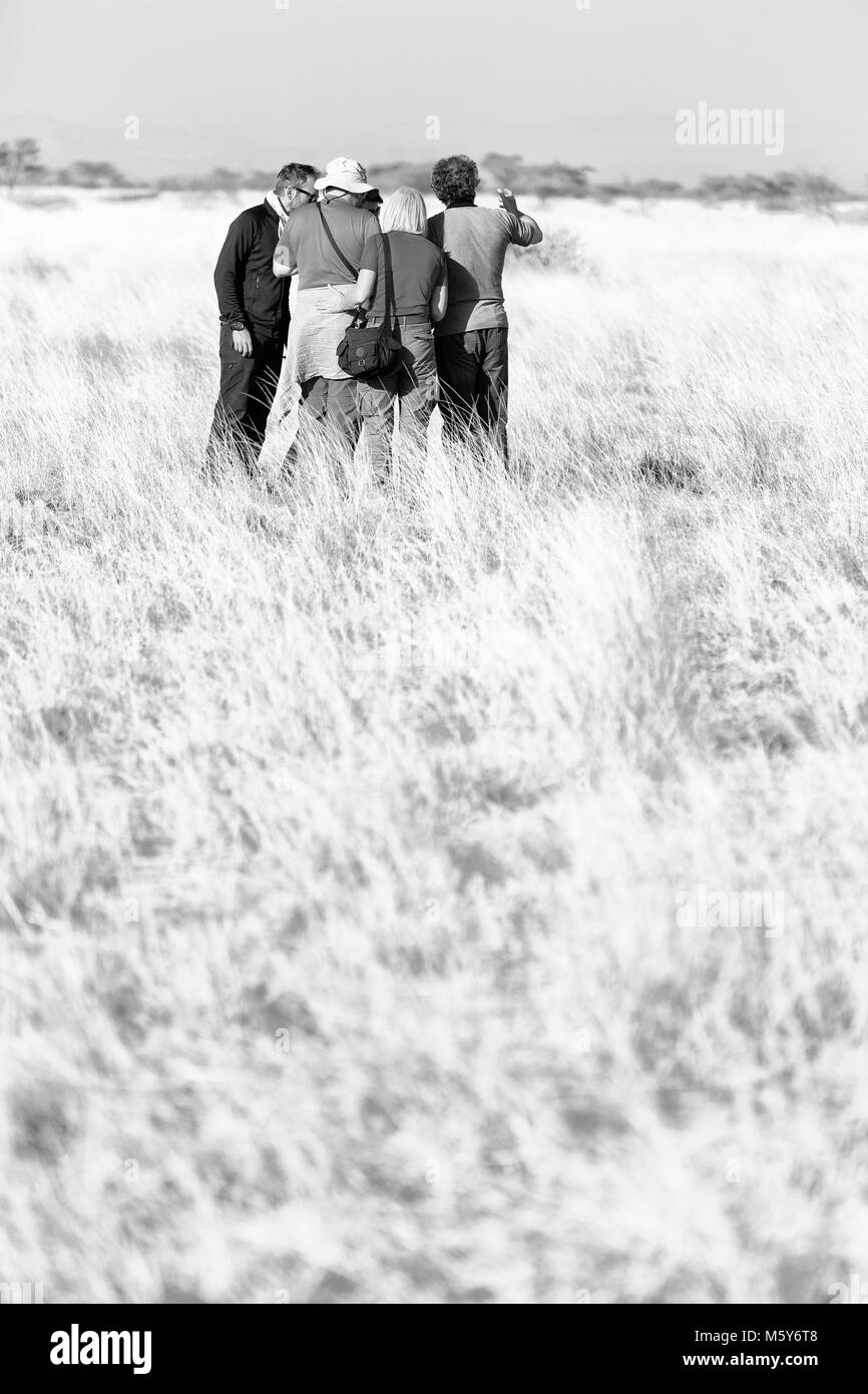 in   ethiopia africa  in the  national park tourist looking for wild animals Stock Photo