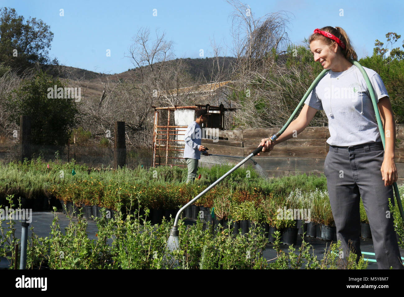 Biological science Technician Jane Stock Photo Alamy