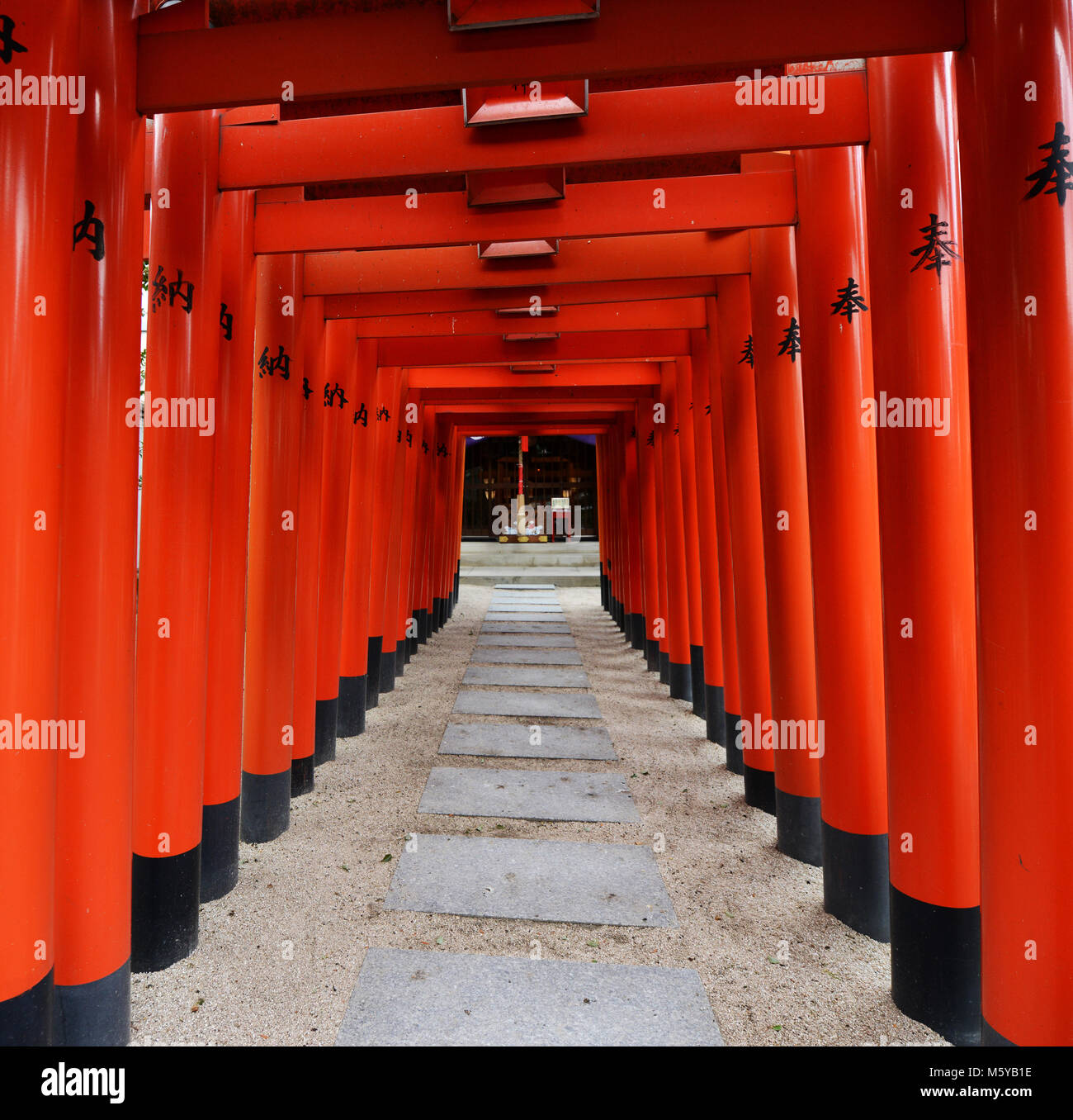 My Image 33