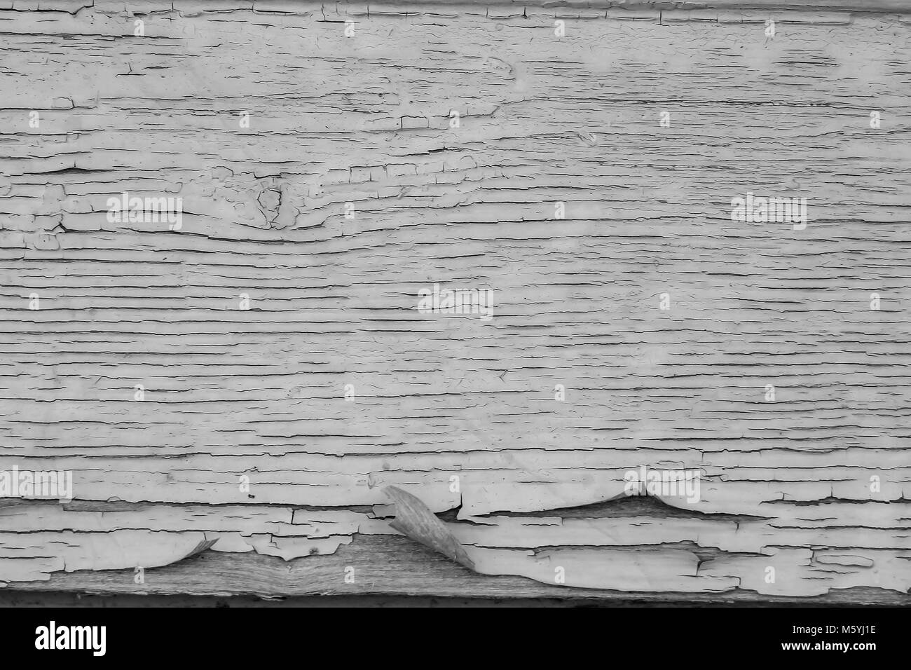 old paint on a dry wooden wall Stock Photo Alamy