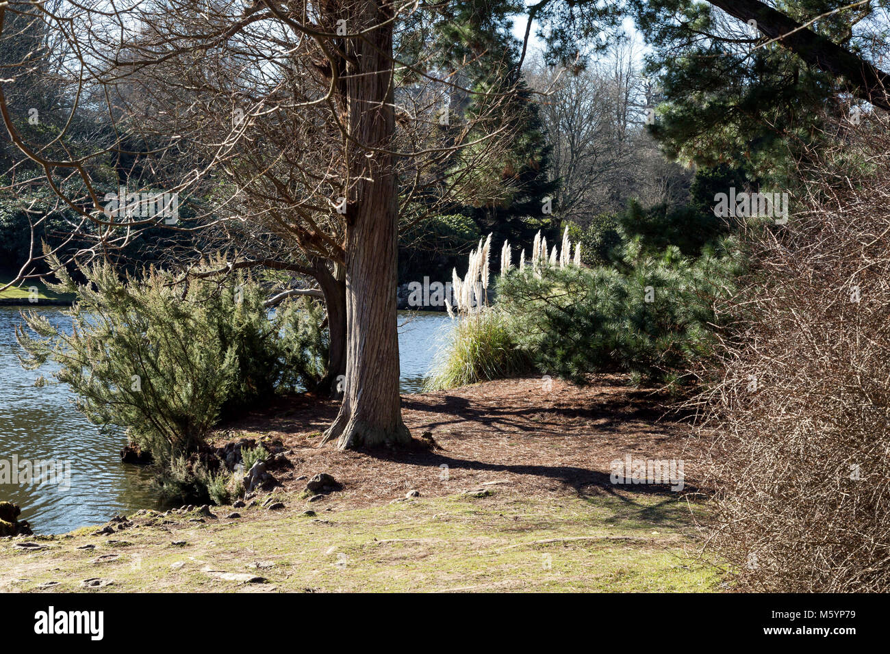 Sheffield Park Gardens, Uckfield, East Sussex, England Stock Photo Alamy