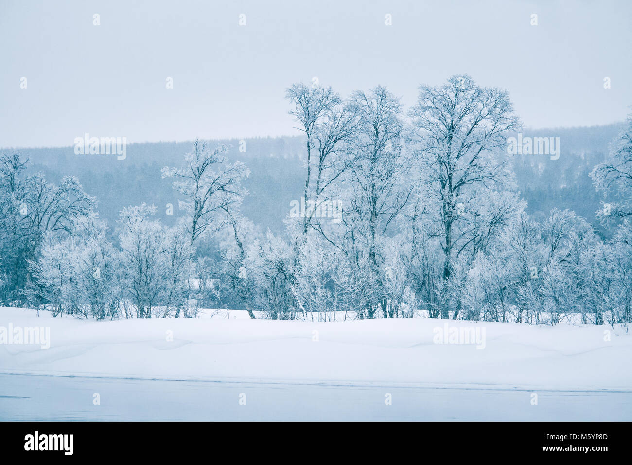 Beautiful frozen river hi-res stock photography and images - Alamy