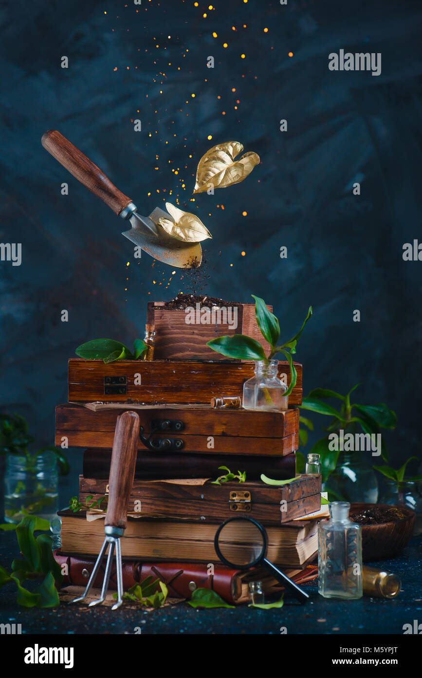 Gardening tools, spade and rake, flying above stack за vintage boxes with golden leaves and scattered soil. Spring planting concept with copy space. Stock Photo
