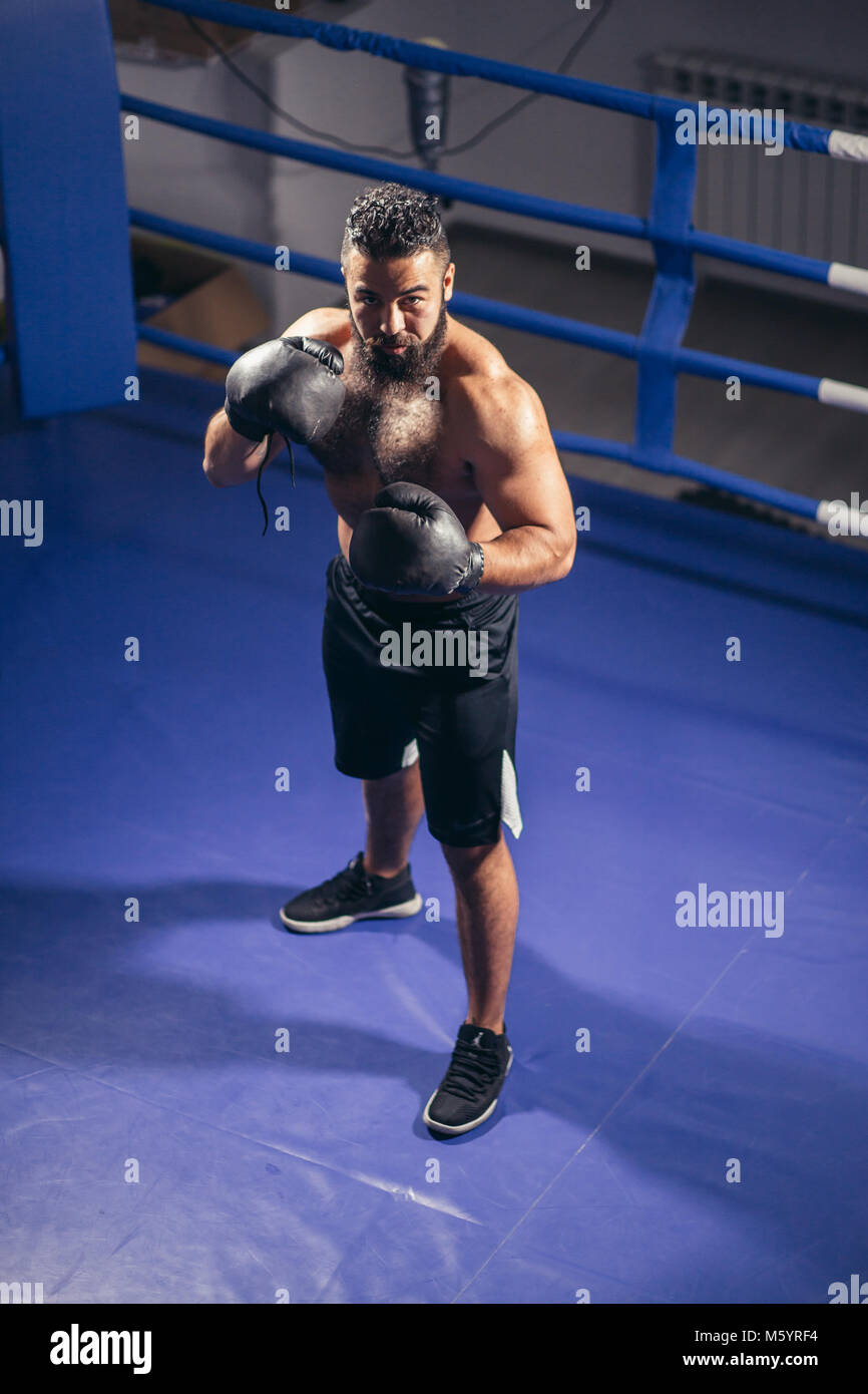 man boxing workout on ring. Caucasian male boxer in black gloves Stock