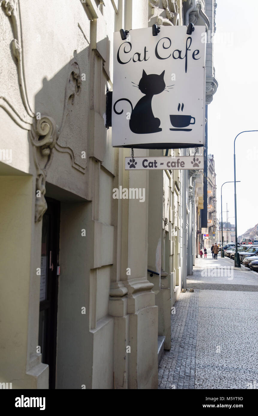Cat Cafe in Prague Stock Photo Alamy