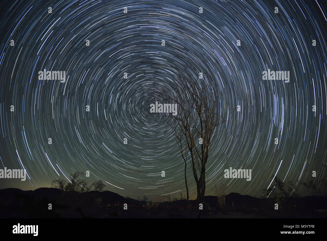 Star Trails over the Ocotillo Garden. The Ocotillo Garden along Pinto Basin Road is one of the darkest places in the park and this Stock Photo