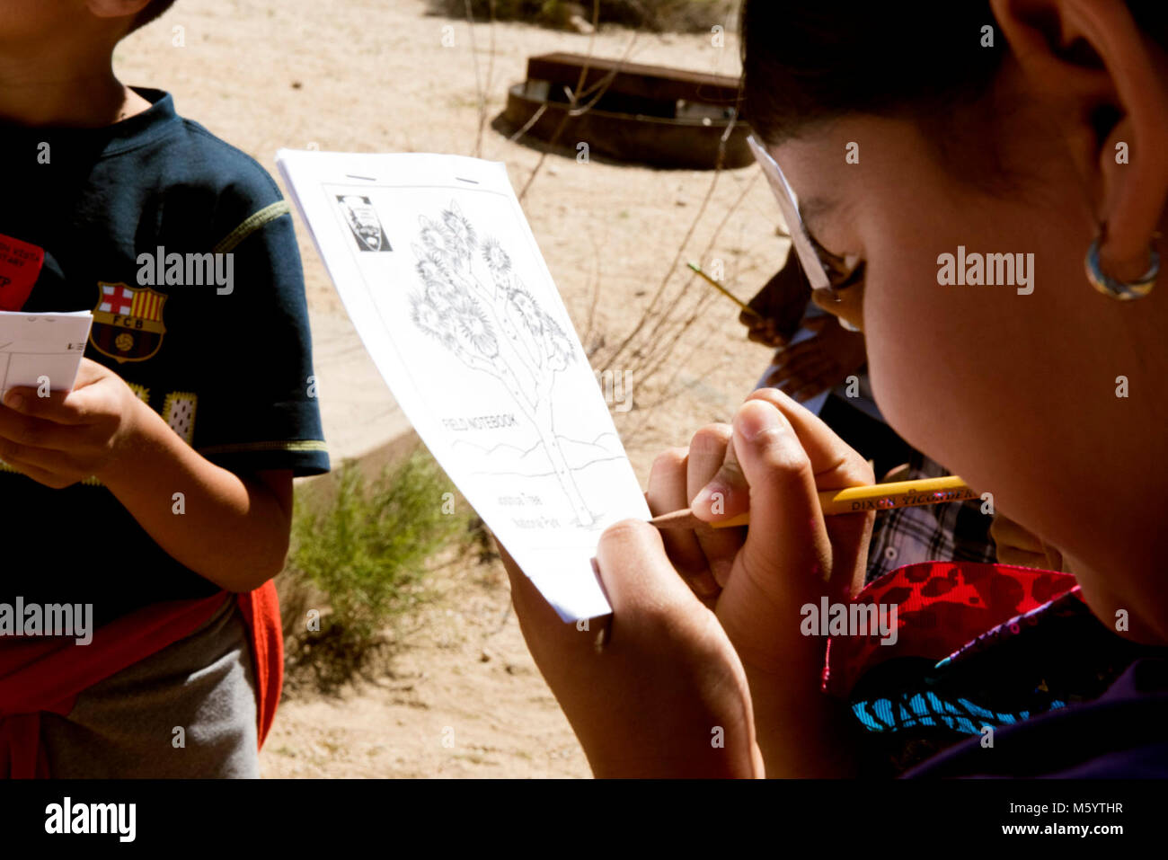 Student writing in field notebook Stock Photo Alamy