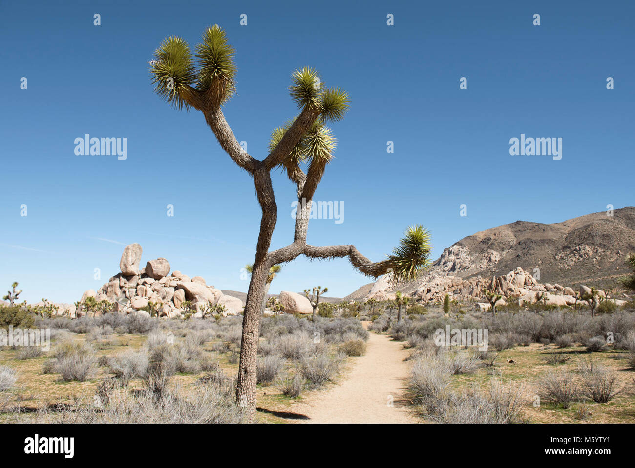 Trail from Ryan Campground to Ryan Ranch Stock Photo - Alamy