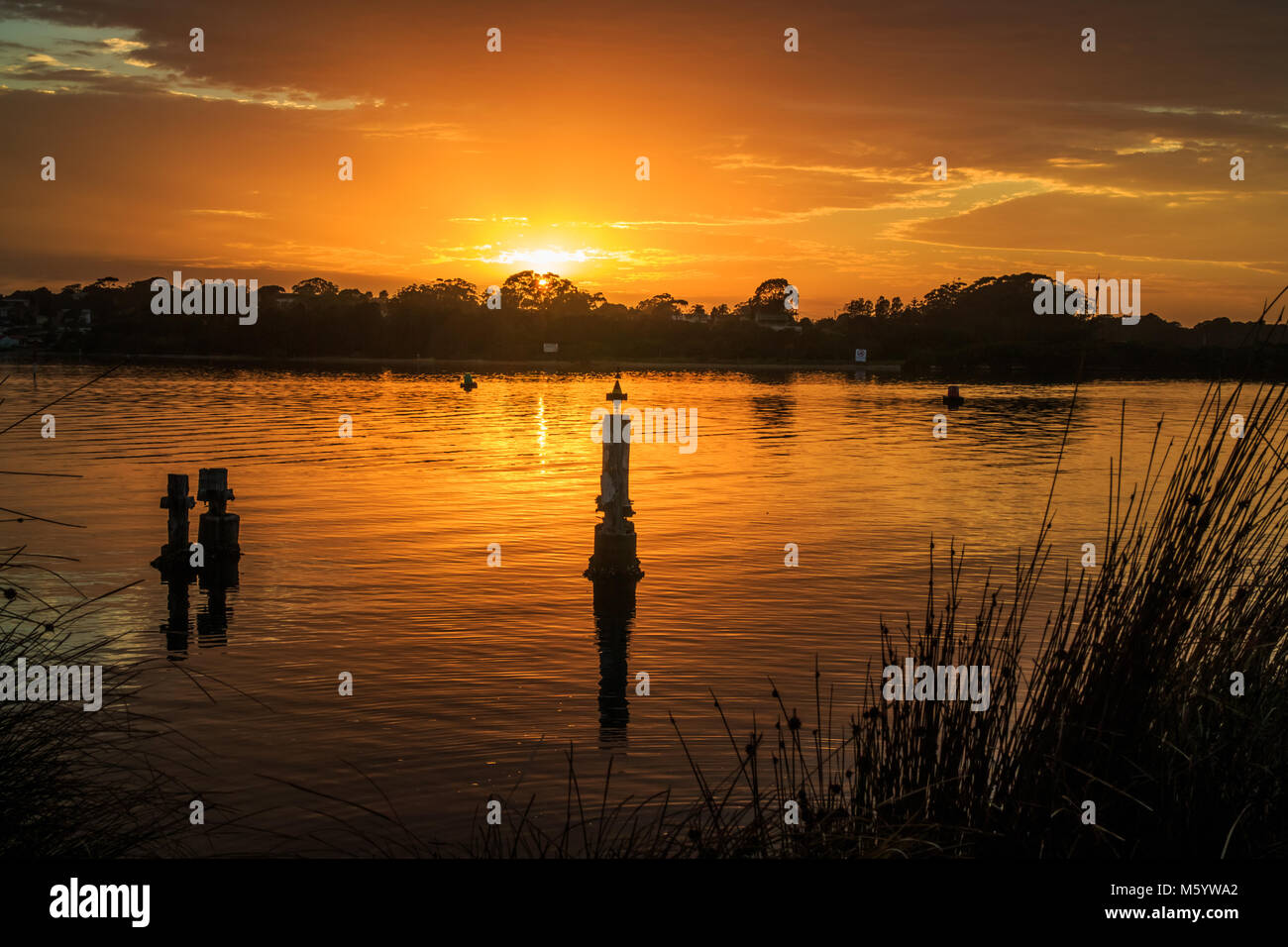 Sunrise, Greenwell Point, New SOuth Wales, NSW, Australia Stock Photo