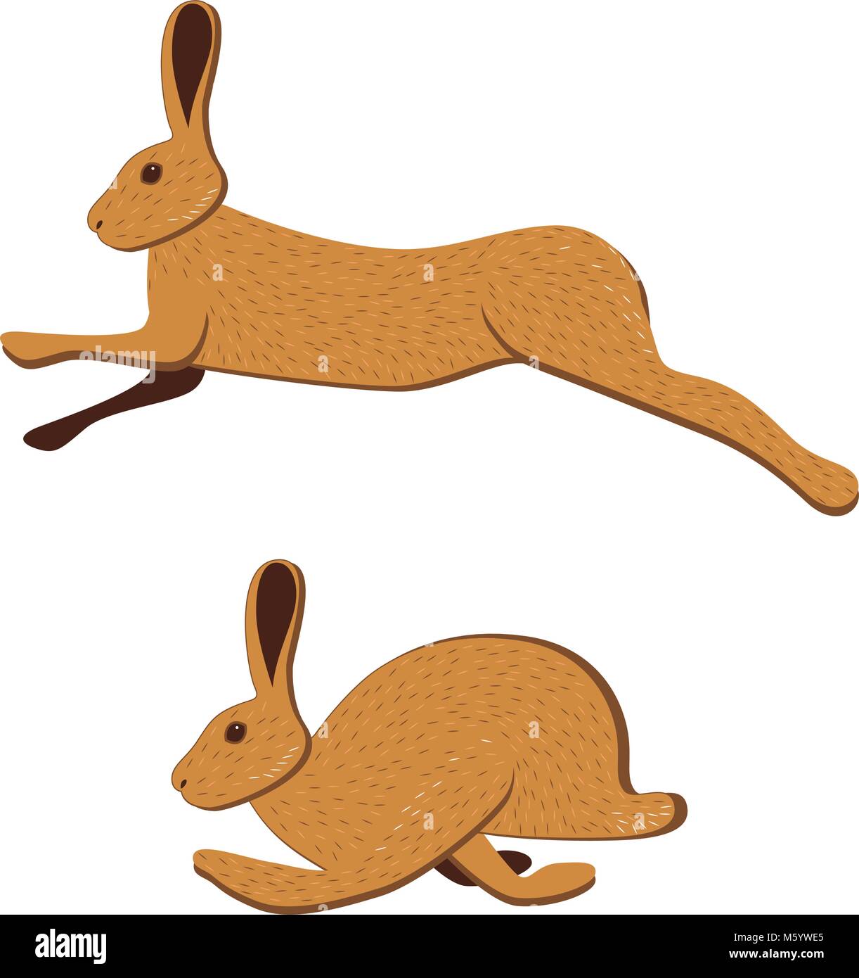 Hare runs. Vector illustration on white background Stock Vector Image ...