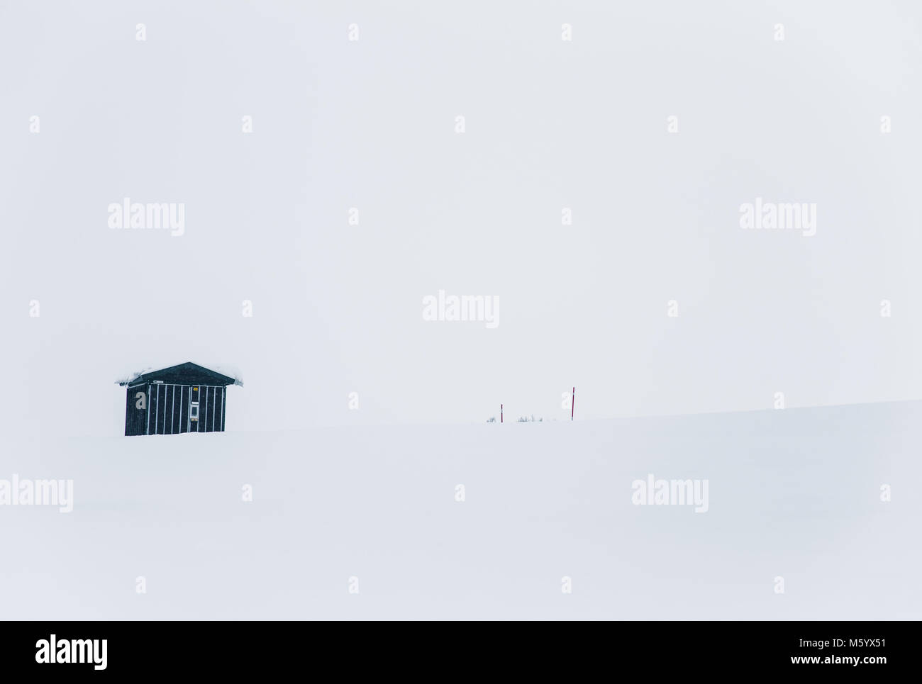 A beautiful minimalist landscape in heavy snowfall. Blizzard in central Norway. Stock Photo