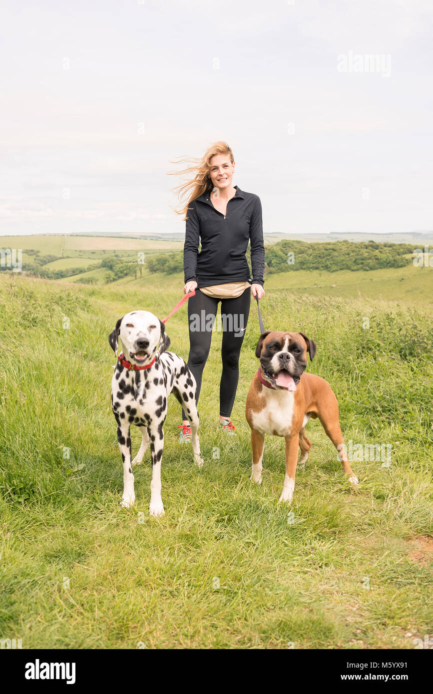a female dog walker conducts her small business service in the countryside Stock Photo