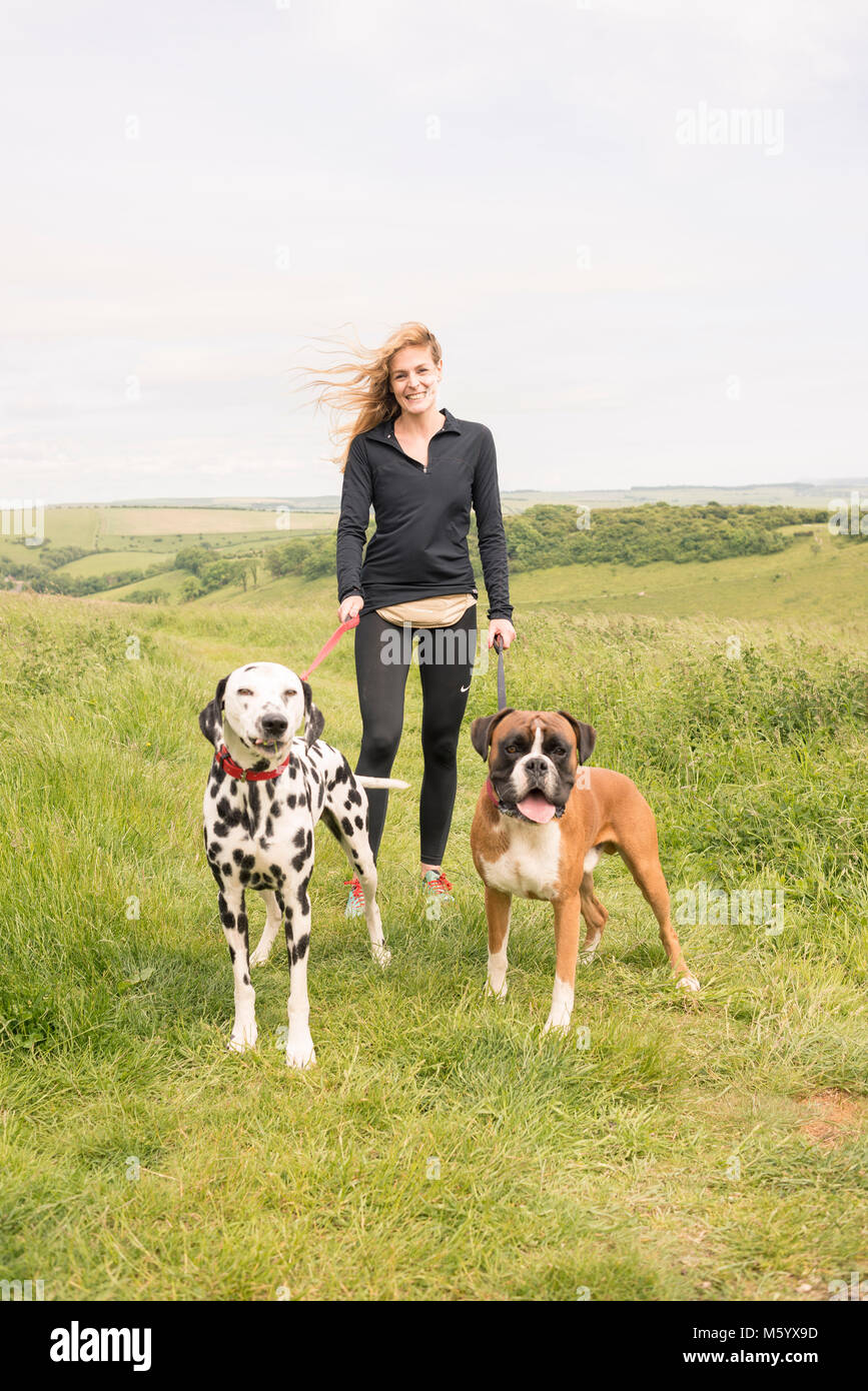 a female dog walker conducts her small business service in the countryside Stock Photo
