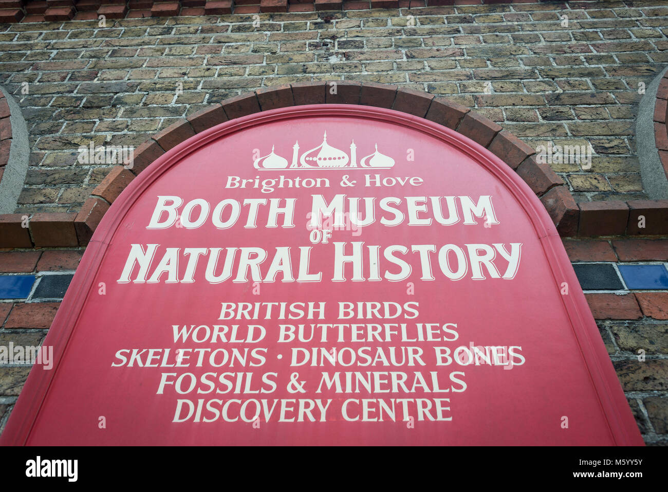 details of inside the storage and archive rooms of Brighton & Hove's Booth Museum of Natural Histroy Stock Photo