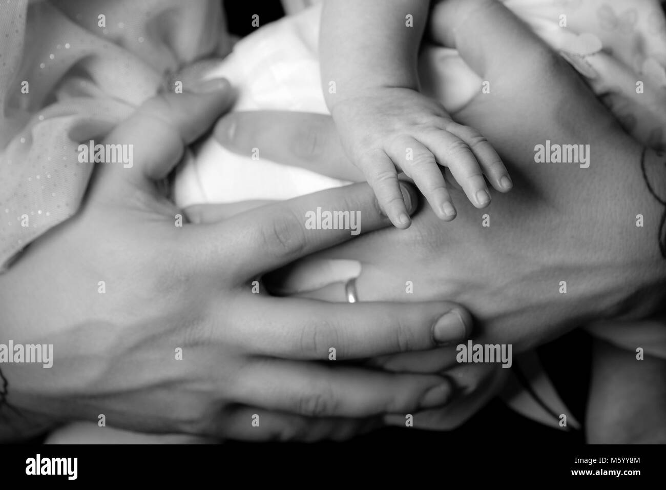 hands of parent and puppy - black and white photo Stock Photo