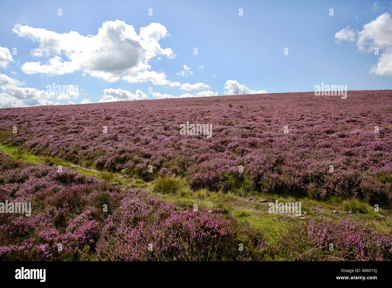 Blubberhouses moor hires stock photography and images Alamy