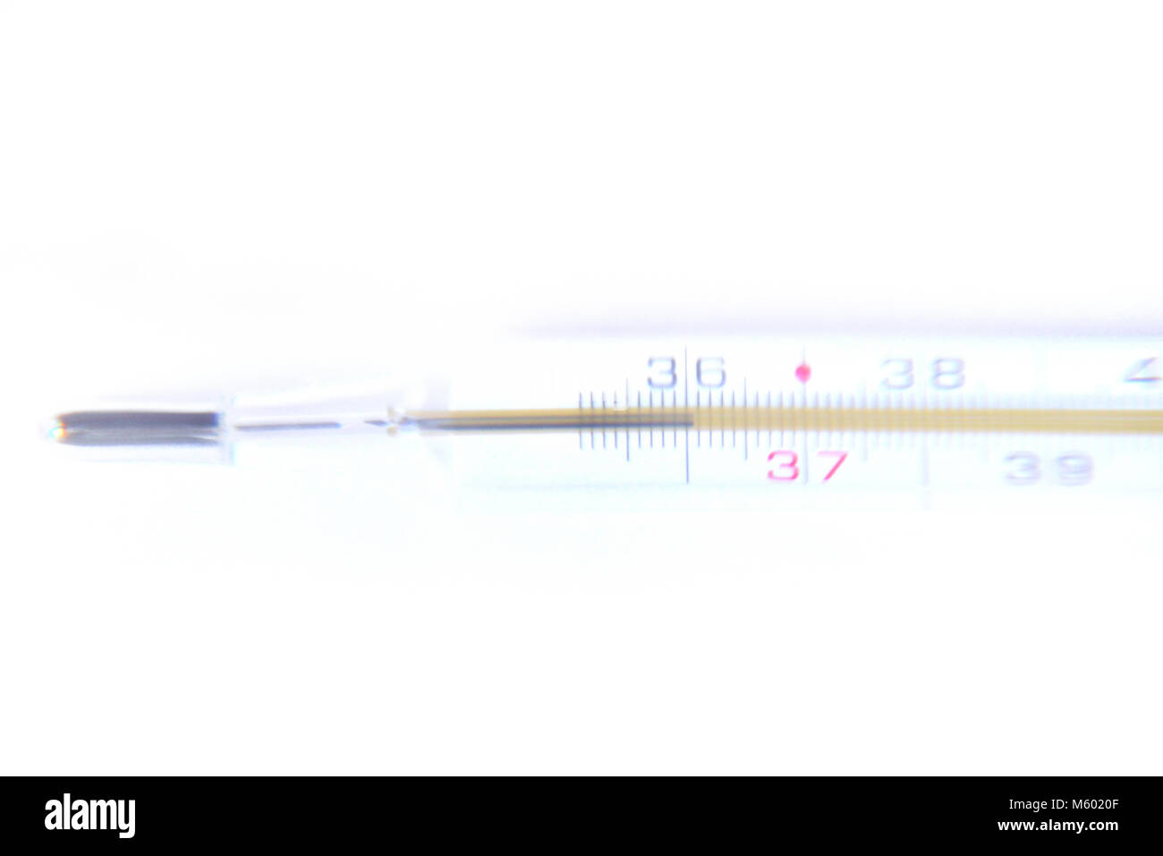 clinical thermometer on a white background whit clipping path Stock Photo