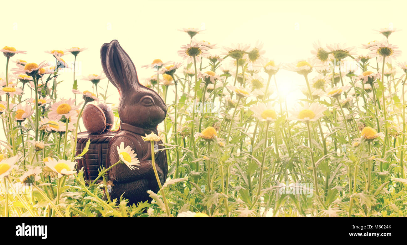 Happy easter background rabbit hi-res stock photography and images - Alamy