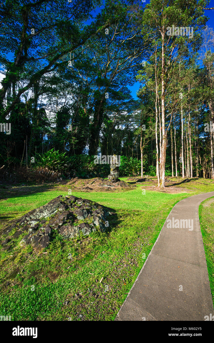 Tree molds trail hires stock photography and images Alamy