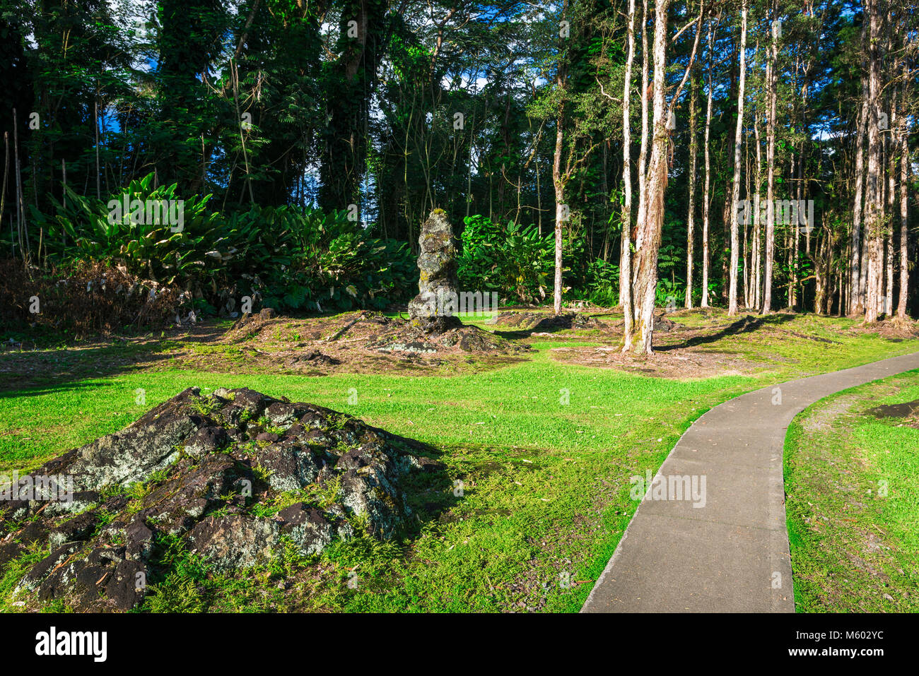 Tree molds trail hires stock photography and images Alamy