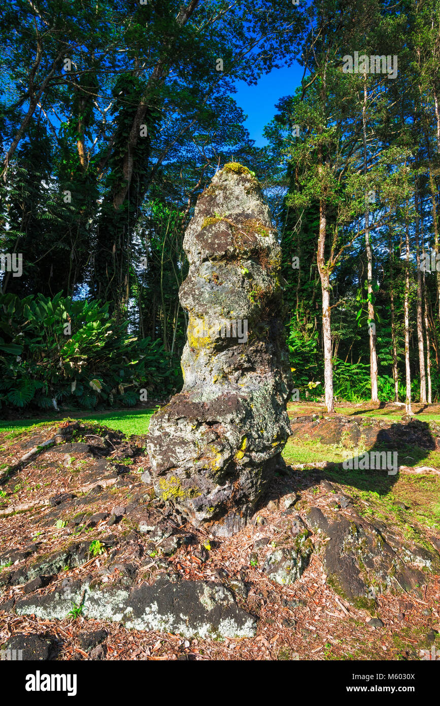 Lava tree molds, Lava Tree State Monument, The Big Island, Hawaii USA