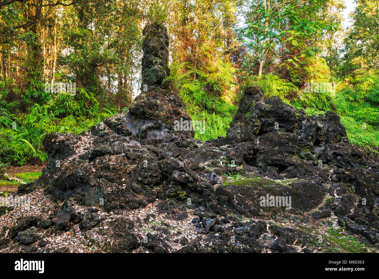 Lava tree molds, Lava Tree State Monument, The Big Island, Hawaii USA