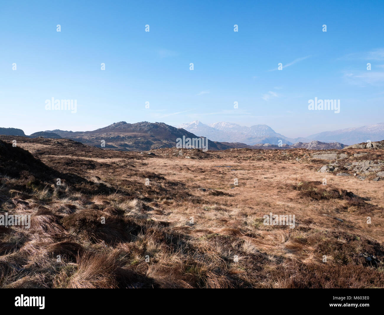 Moel Meirch, with the Snowdon group behind, viewed across the moor and bogs of the Moelwyn mountains, Snowdonia Stock Photo