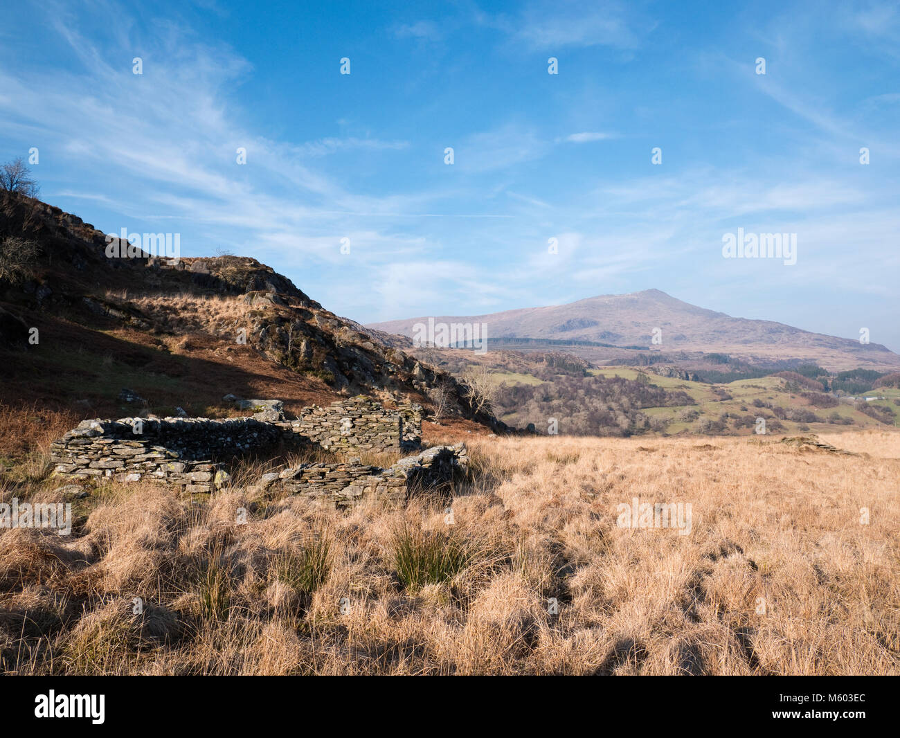 Snowdonia's Moel Siabod viewed from a ruin on the flanks of Yr Arddu in the Afon Lledr valley, Blaenau Dolwyddelan Stock Photo