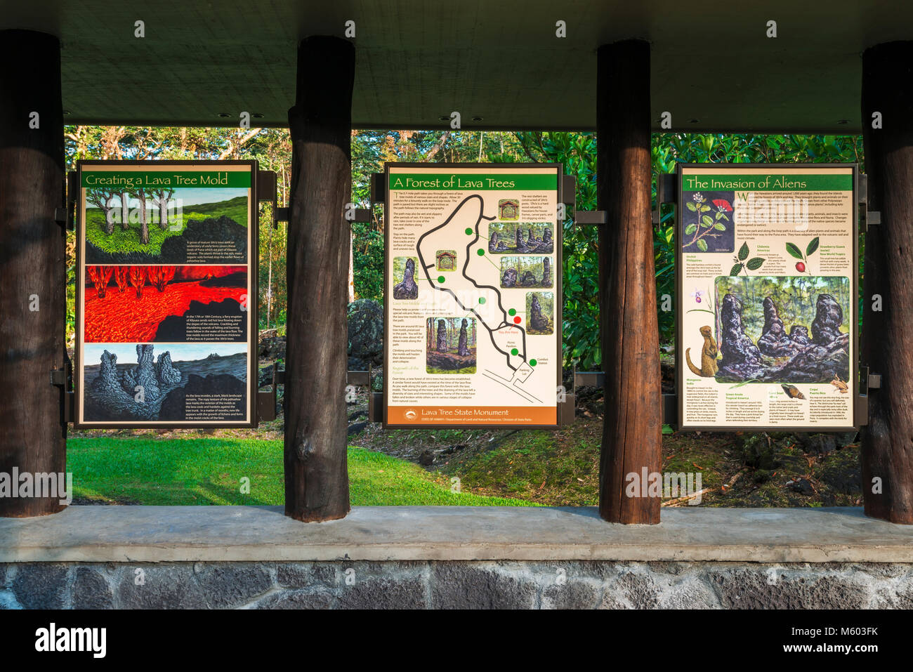 Lava tree molds, Lava Tree State Monument, The Big Island, Hawaii USA