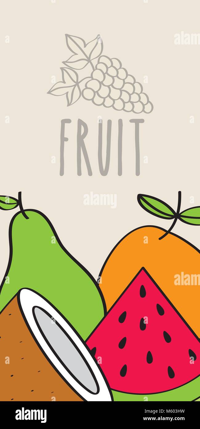 Watermelon Coconut Orange Pear Fruit Tasty Banner Stock Vector Art