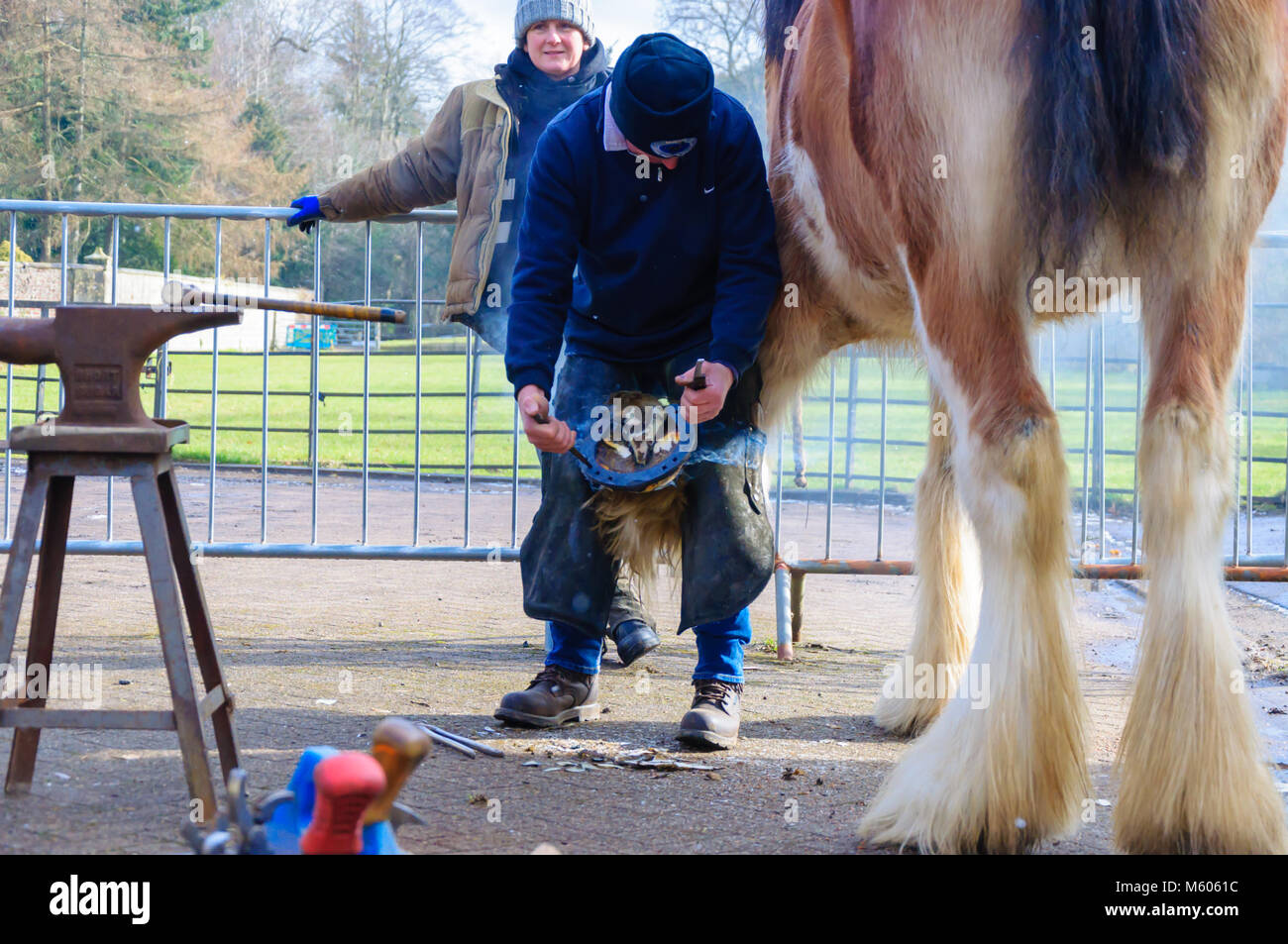 Farrier Allen Ferrie fitting new horseshoes to eleven year old