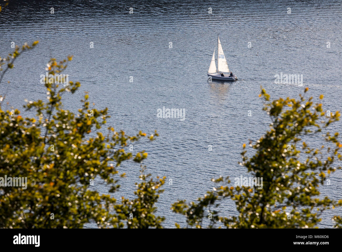 The Baldeneysee Lake, a reservoir of river Ruhr, in Essen, Germany, sailing boats, Stock Photo