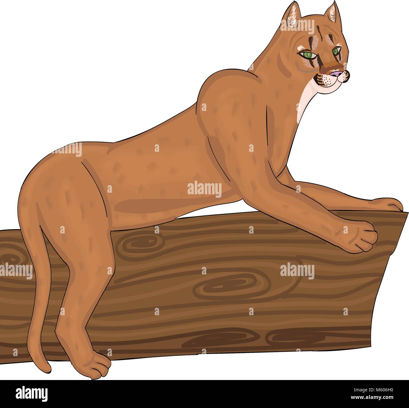 Vector on a transparent background of an eastern puma Stock Vector
