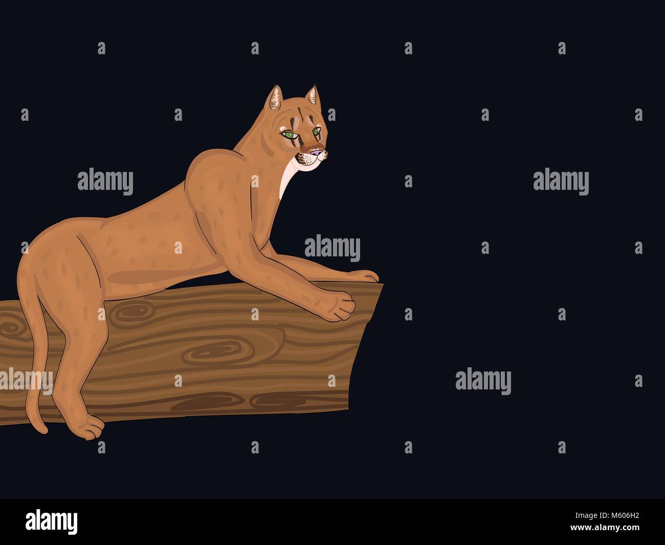 An Eastern puma vector illustration that has gone extinct in America Stock Vector