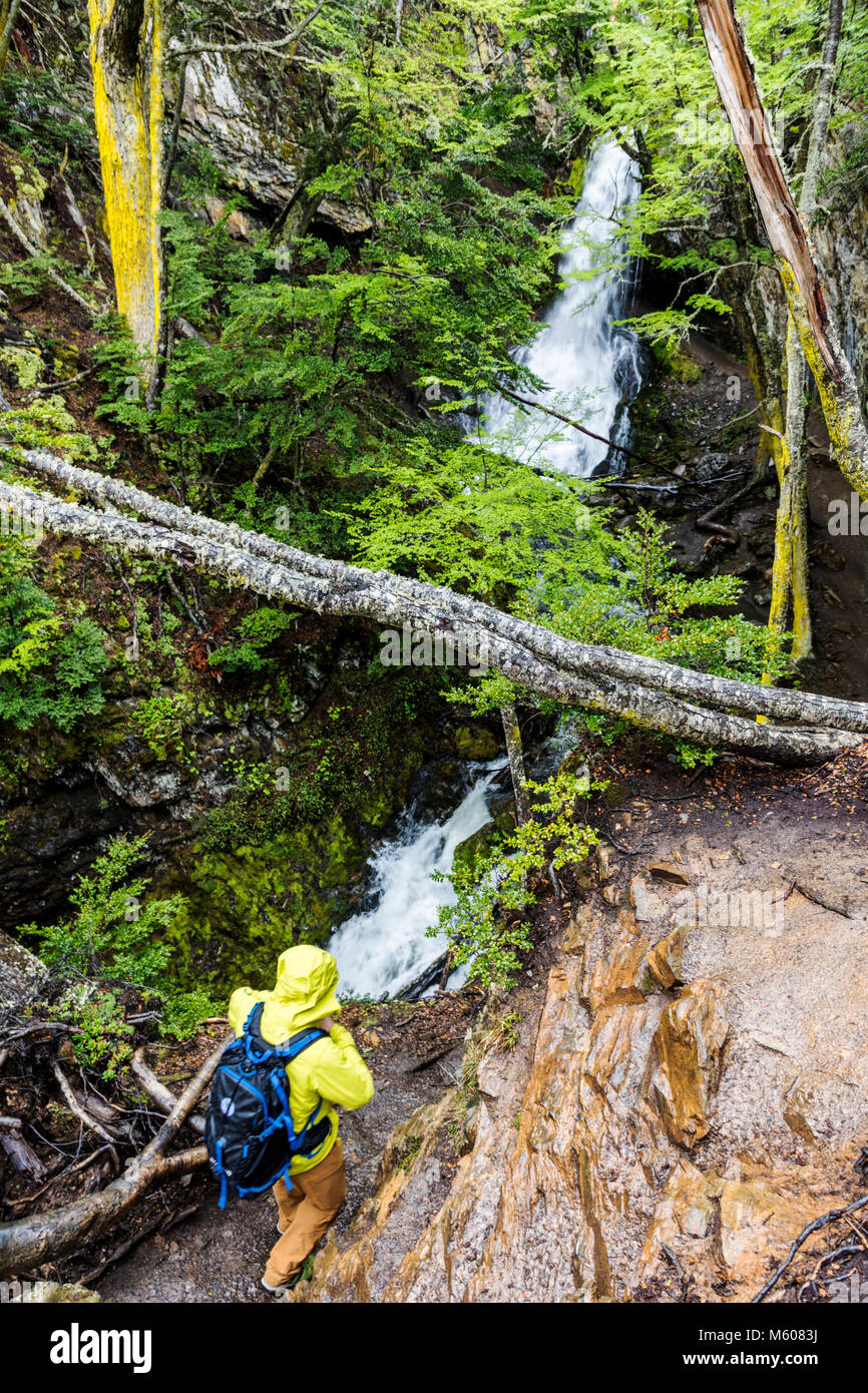 Hiker explores Sendero a la Cascada Velo de la Novia; Path to the Velo de la Novia Waterfall; Ushuaia; Argentina Stock Photo