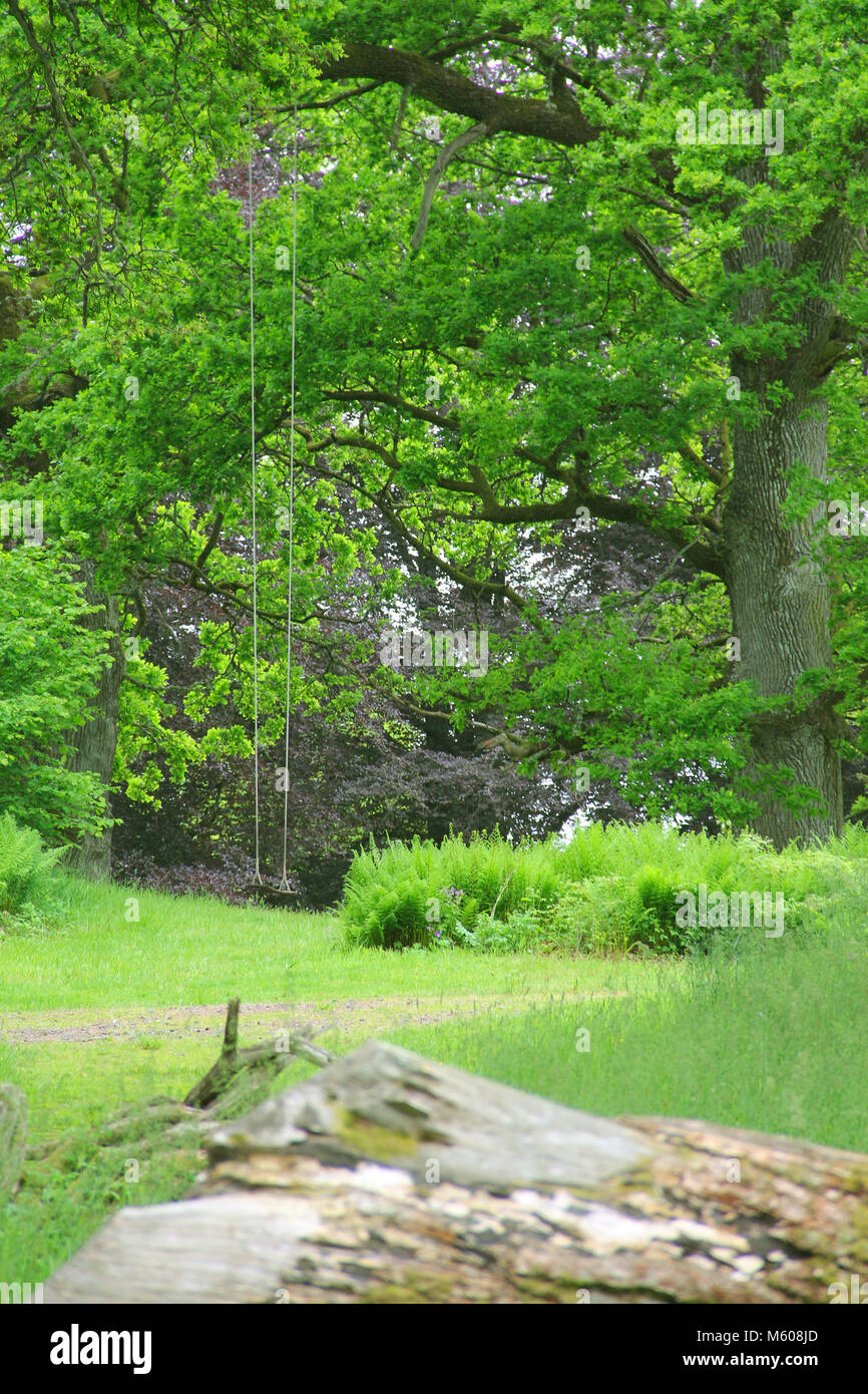 Swings in park in beautiful Naas park, sweden Stock Photo Alamy