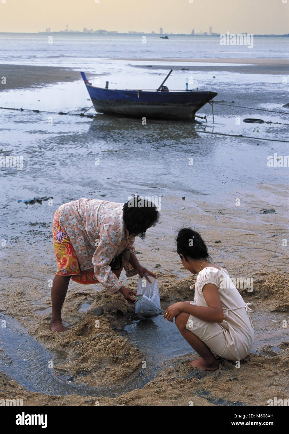 Two Thai woman collecting crabs on a beach in low tide Stock Photo