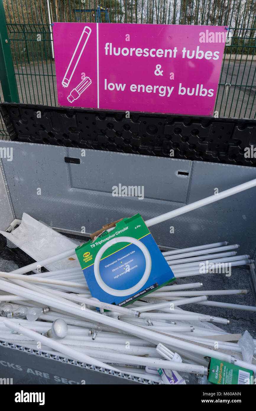 Recycling fluorescent lighting tubes at local authority community recycling centre Stock Photo