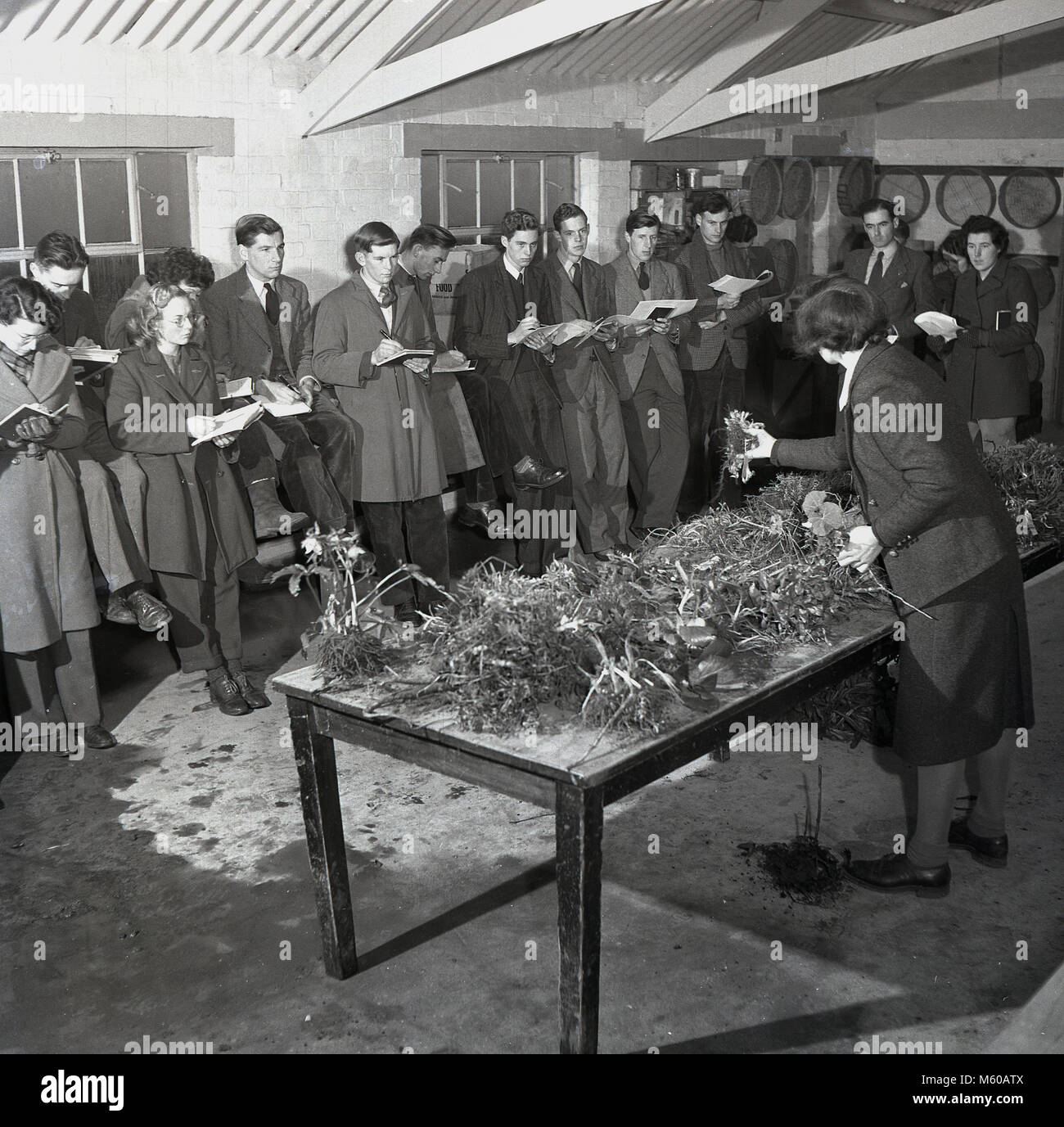 1950s, historical, at an agricultural college, a group of students standing inside a farm building, taking down notes, as they are shown a range of different plant bulbs by a female teacher, England, UK. In the post war years in Britain with continued food rationing, there was a special emphasis put on training young people about agriculture, farming methods and food production. Stock Photo
