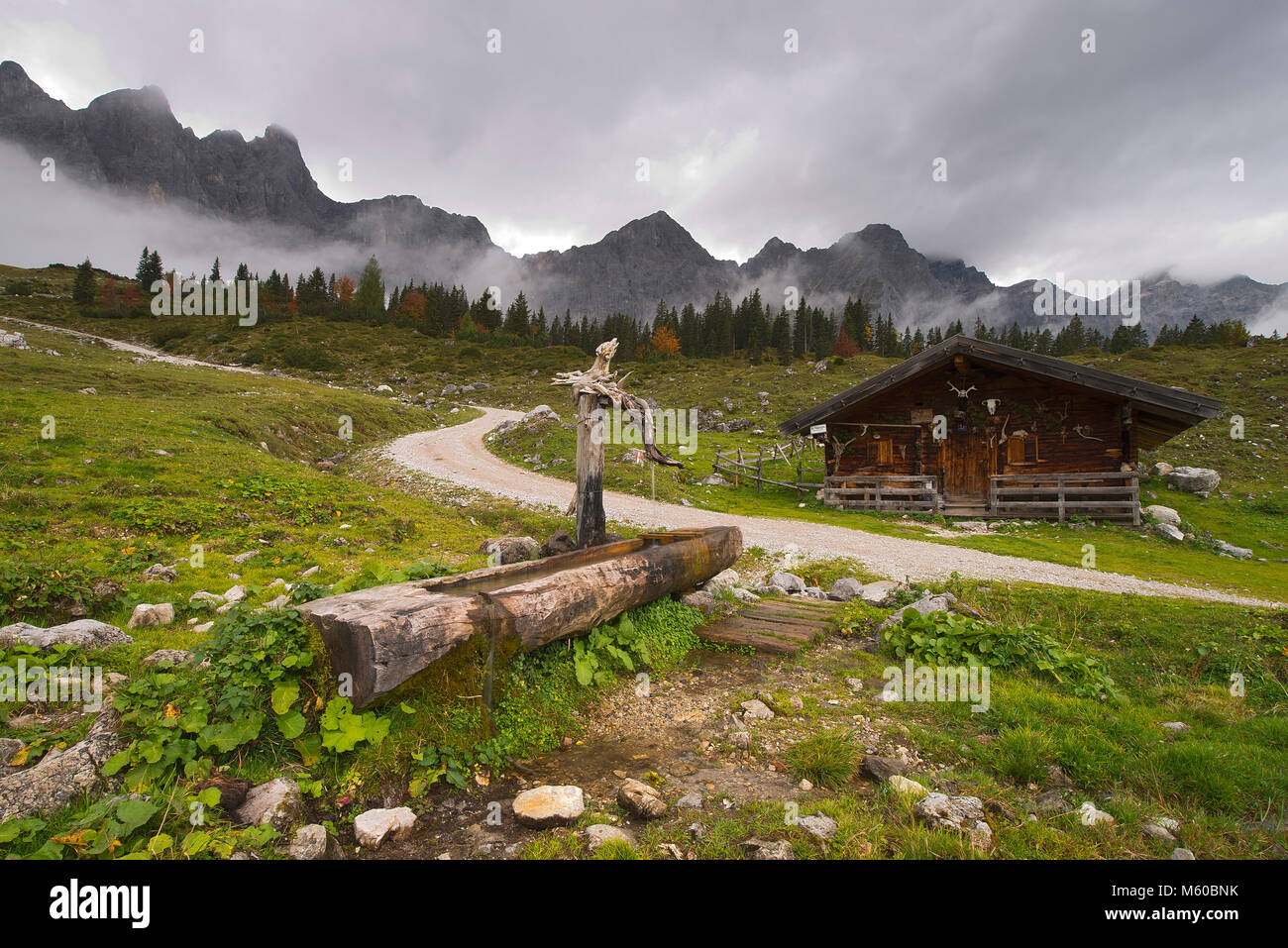 Alpine meadow (Ladiz Alm) in the Karwendel Mountains, Tyrol, Austria in autumn Stock Photo