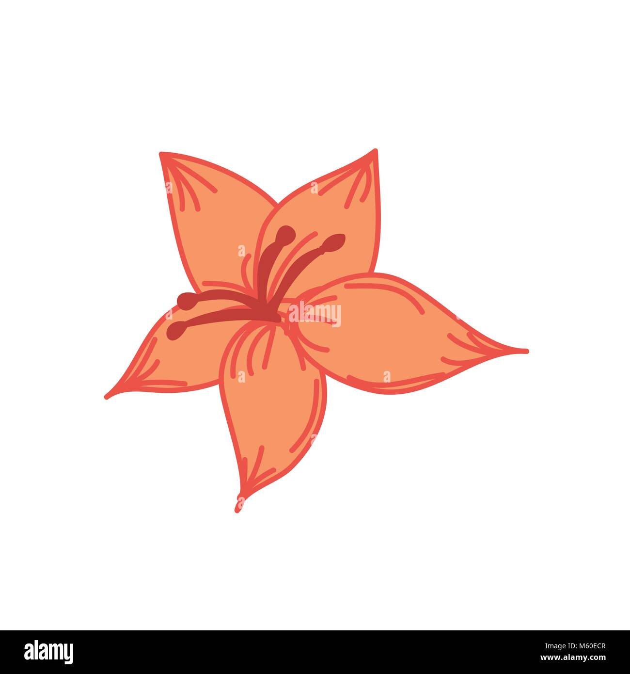 Orange Tropical Flower Hand Drawn Illustration Stock Vector