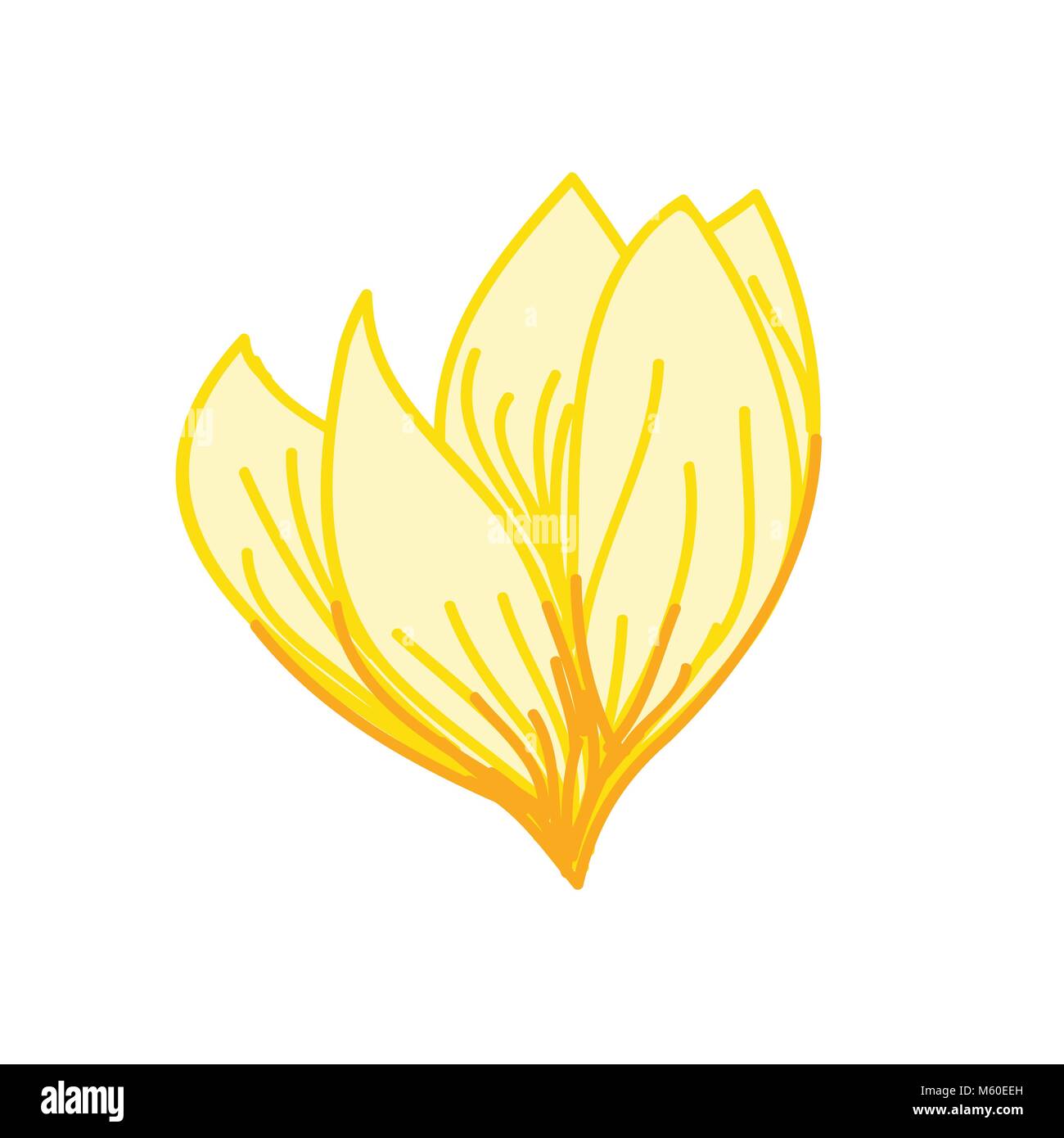 Yellow Blooming Tropical Flower Hand Drawn Illustration Stock Vector