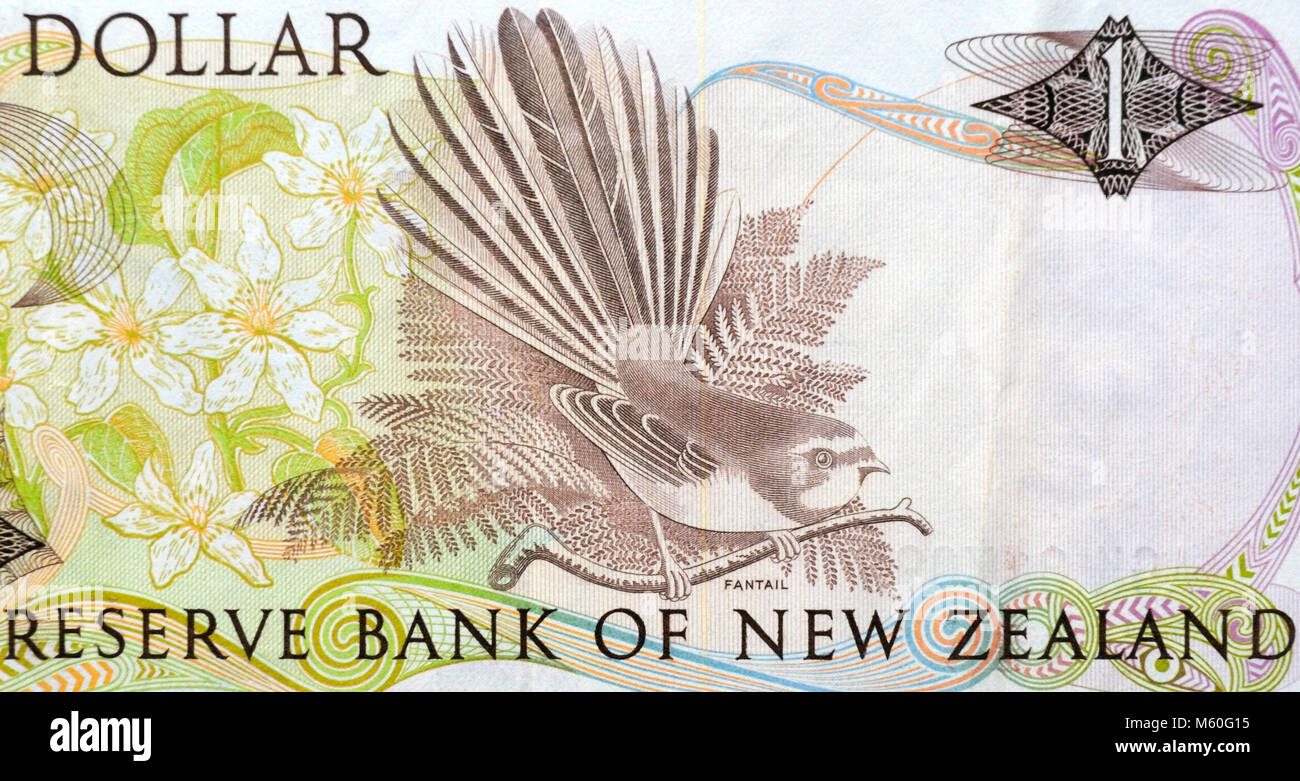 New Zealand One 1 Dollar Bank Note Stock Photo
