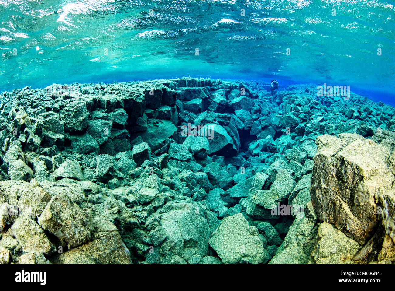 Scuba diving in Silfra Fissure, Thingvellir National Park, Iceland Stock Photo
